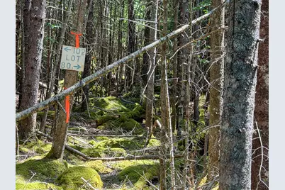 Lot 80 Yoho Head Road, Machiasport, ME 04655 - Photo 10