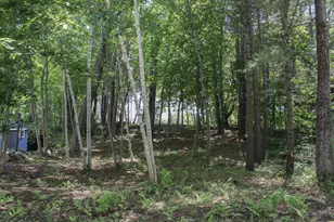 44 Allen Ave Ext, Falmouth, ME 04105 - Photo 42