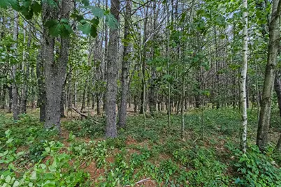 7 Moses Lane, Scarborough, ME 04074 - Photo 62