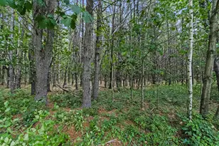 7 Moses Ln, Scarborough, ME 04074 - Photo 62
