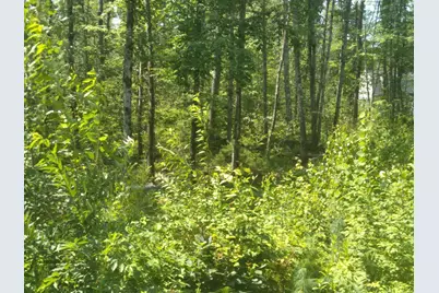 136 Lot 2 Harry Howes Road, Sanford, ME 04073 - Photo 4
