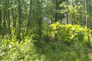 136 Harry Howes Rd Lot 2, Sanford, ME 04073 - Photo 12