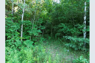 Lot 25 Lee Road, Lincoln, ME 04457 - Photo 6
