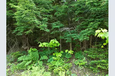 Lot 25 Lee Road, Lincoln, ME 04457 - Photo 2