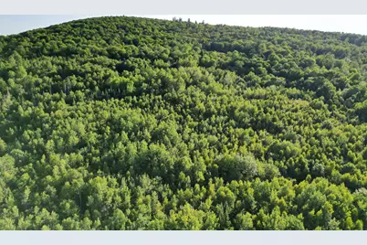 Lot 26 Lee Road, Lincoln, ME 04457 - Photo 6