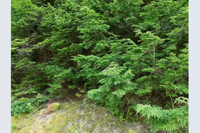 Lot 26 Lee Road, Lincoln, ME 04457 - Photo 4