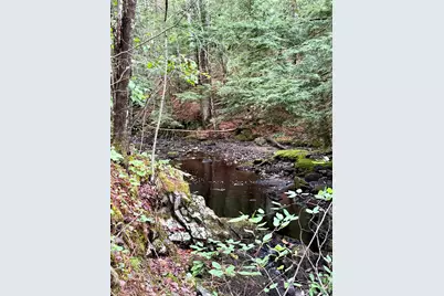 Lot 35 Guzzle Road, Gouldsboro, ME 04607 - Photo 4