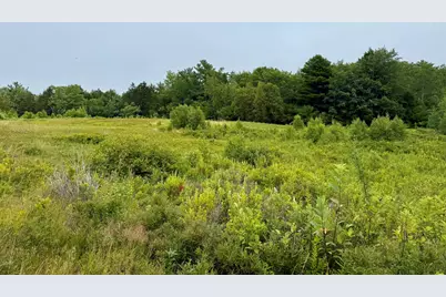 Lot 35 Guzzle Road, Gouldsboro, ME 04607 - Photo 2