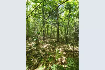 Tbd Bridgton Road, Sebago, ME 04029 - Photo 2