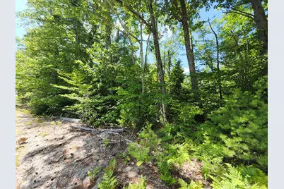 Tbd Bridgton Road, Sebago, ME 04029 - Photo 6