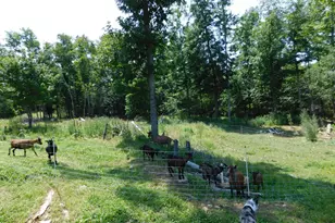 535 Betts Rd, Bucksport, ME 04474 - Photo 98