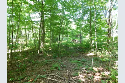 535 Betts Road, Bucksport, ME 04474 - Photo 116