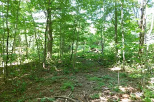 535 Betts Rd, Bucksport, ME 04474 - Photo 116