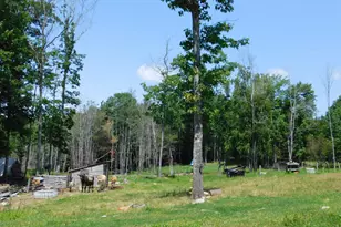 535 Betts Rd, Bucksport, ME 04474 - Photo 94