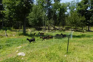 535 Betts Rd, Bucksport, ME 04474 - Photo 100