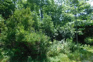 535 Betts Rd, Bucksport, ME 04474 - Photo 114