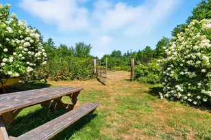 699 N High St, Bridgton, ME 04009 - Photo 12