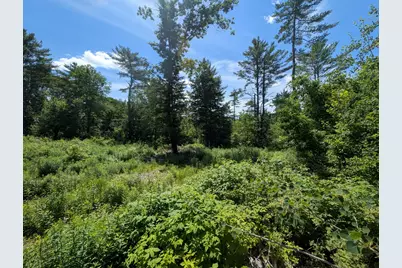 Lot # 2 Route 126 Route, Litchfield, ME 04350 - Photo 4
