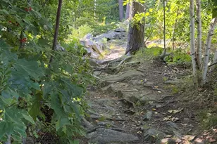48 Maxwell Woods Dr, Cape Elizabeth, ME 04107 - Photo 76