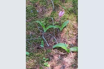 9 Millstone Island, Liberty, ME 04949 - Photo 44