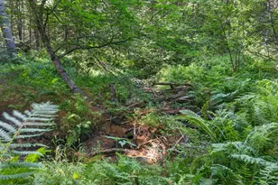 222 Main St, Lisbon, ME 04252 - Photo 40