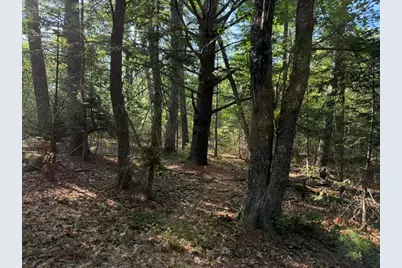 Lot 18B Waldoboro Road, Bremen, ME 04551 - Photo 4
