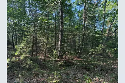 Lot 18B Waldoboro Road, Bremen, ME 04551 - Photo 8