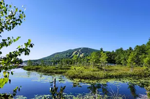 7 Norman Ln, Bridgton, ME 04009 - Photo 74
