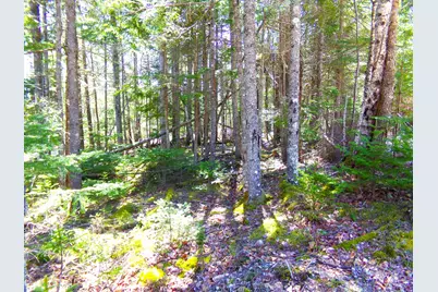 14 Woods Road, Steuben, ME 04680 - Photo 14