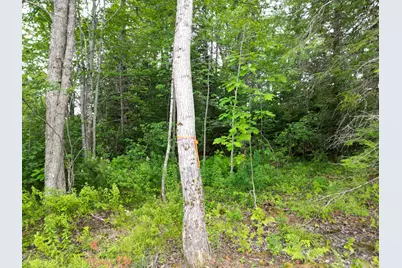 Lot 16 Route 1, Brooklin, ME 04413 - Photo 10