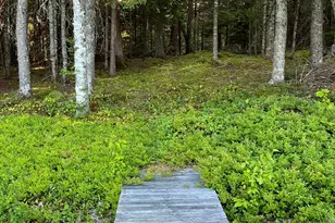 30 Woodcock Wy, Robbinston, ME 04671 - Photo 42