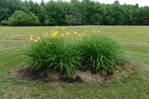 41 Brown Farm Rd, Solon, ME 04979 - Photo 18