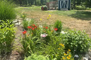 126 Poverty Pond Rd, Newfield, ME 04095 - Photo 72
