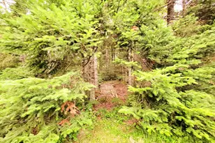 3373 Mariaville Rd, Mariaville, ME 04605 - Photo 42