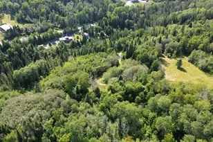 128 Beaulieu Rd, Madawaska, ME 04773 - Photo 82