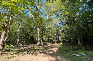 794 Thurston Hill Rd, Madison, ME 04950 - Photo 28