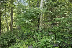 242 Preble Ave, Madison, ME 04950 - Photo 26