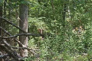 242 Preble Ave, Madison, ME 04950 - Photo 28