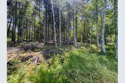 00 Indian Trail Road, East Machias, ME 04630 - Photo 18