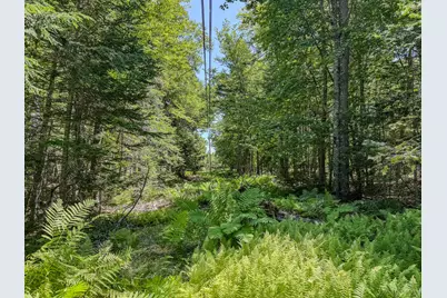 00 Indian Trail Road, East Machias, ME 04630 - Photo 16