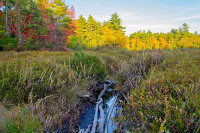 Tbd New Dam Road, Waterboro, ME 04061 - Photo 18