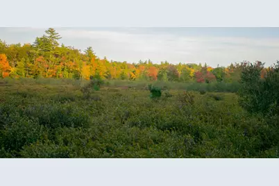 Tbd New Dam Road, Waterboro, ME 04061 - Photo 16