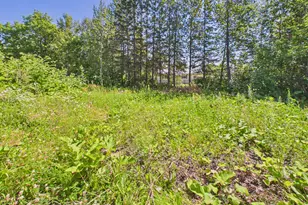 23 Hillcrest Ave, Caribou, ME 04736 - Photo 30