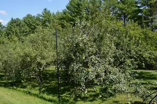 73 Middlegate Ln, New Portland, ME 04961 - Photo 50