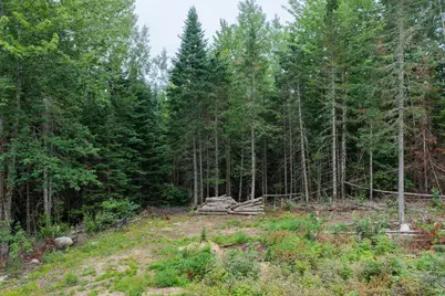 191 Old Winn Road, Springfield, ME 04487 - Photo 10