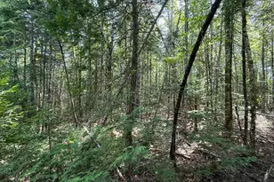 132 Rainy Rd, Prentiss, ME 04487 - Photo 24