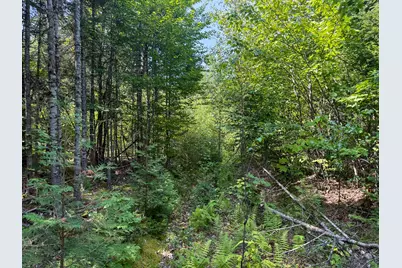 132 Rainy Road, Prentiss, ME 04487 - Photo 18