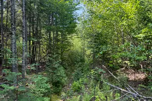 132 Rainy Rd, Prentiss, ME 04487 - Photo 18