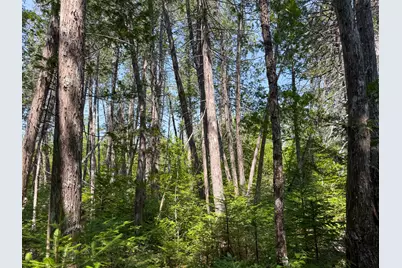 132 Rainy Road, Prentiss, ME 04487 - Photo 26