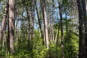 132 Rainy Rd, Prentiss, ME 04487 - Photo 26